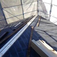 画像1423
