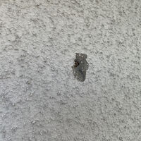 画像1526