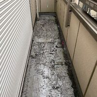 画像1573