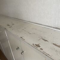 画像1609